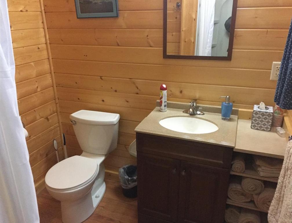 Talkeetna Lakeside Cabins 迪纳利 外观 照片