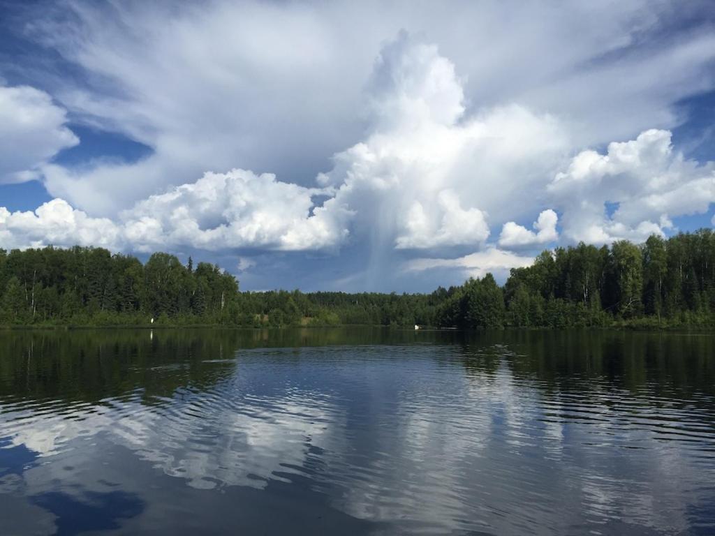 Talkeetna Lakeside Cabins 迪纳利 外观 照片