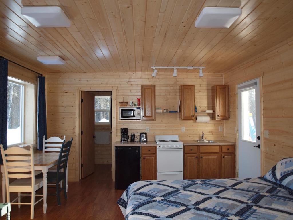 Talkeetna Lakeside Cabins 迪纳利 外观 照片