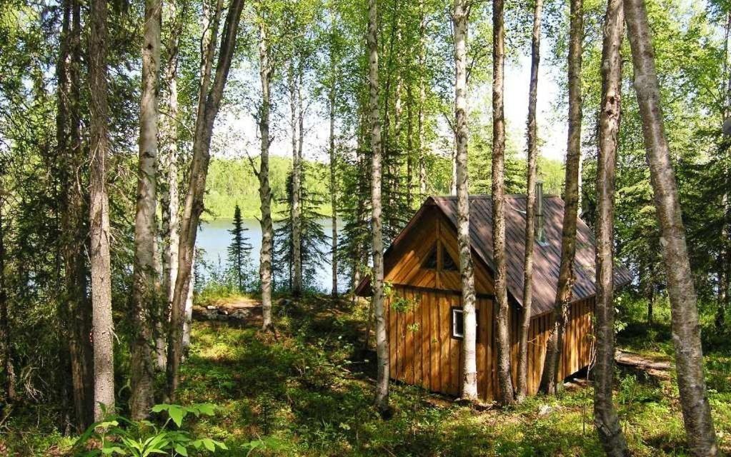 Talkeetna Lakeside Cabins 迪纳利 外观 照片